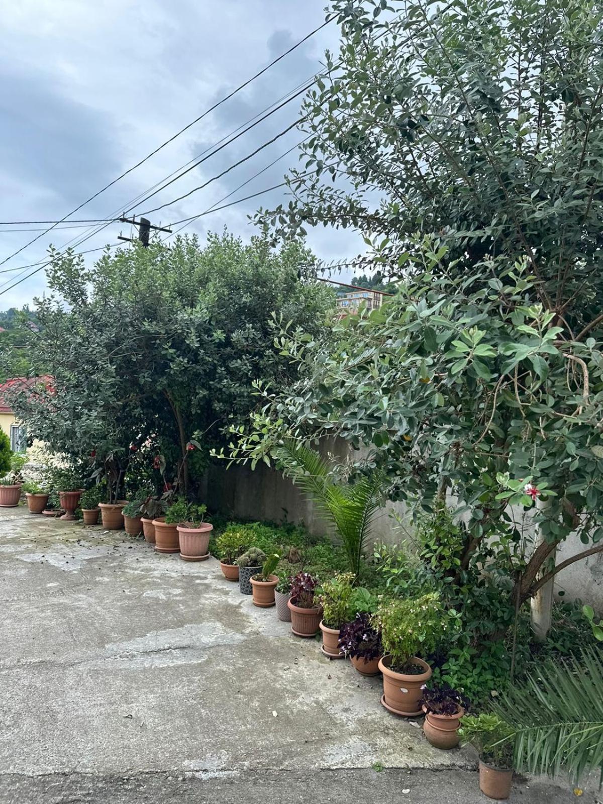 Gasthaus Shamil House Makhinjauri Exterior foto
